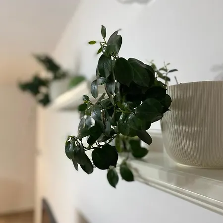 Appartamento Alexandra